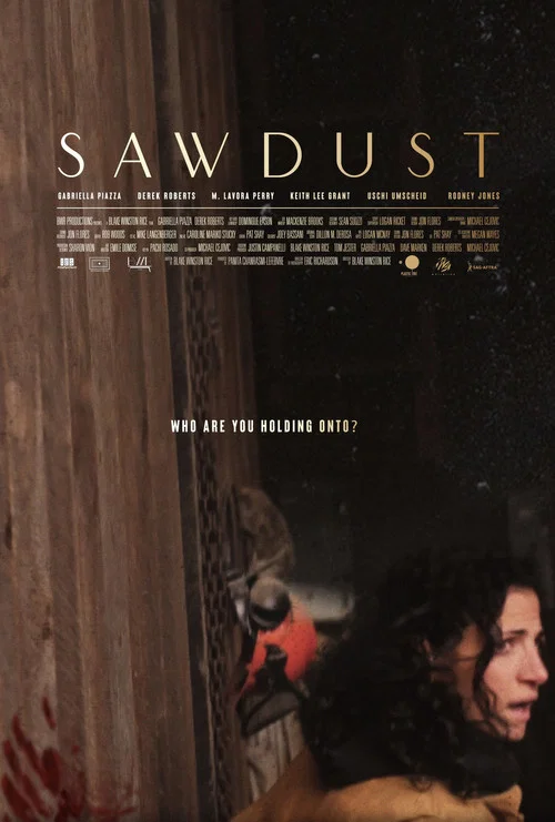Постер: Sawdust
