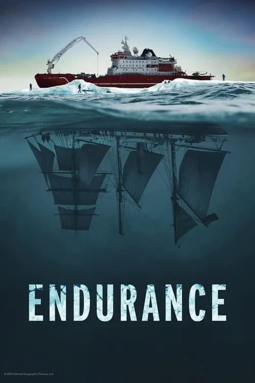 Постер: Endurance