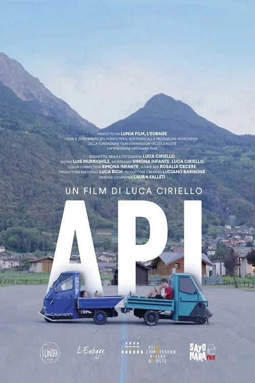 Постер: API
