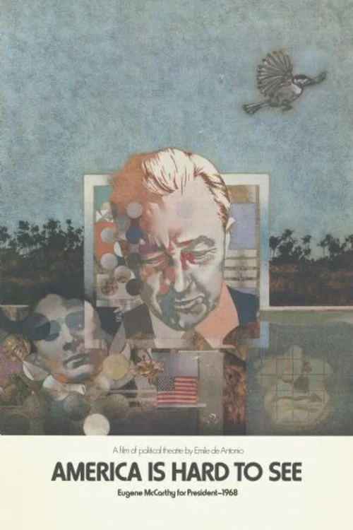 Постер: America Is Hard to See
