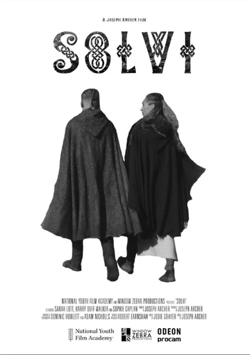 Постер: Solvi
