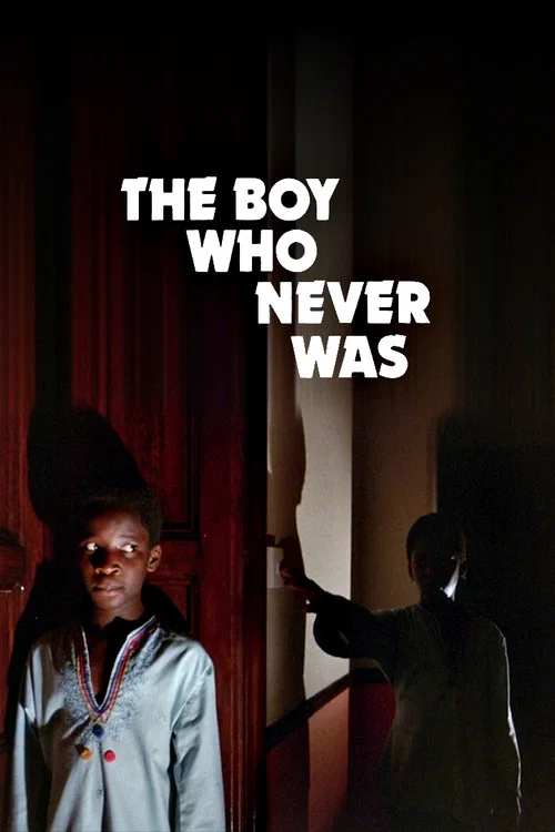Постер: The Boy Who Never Was