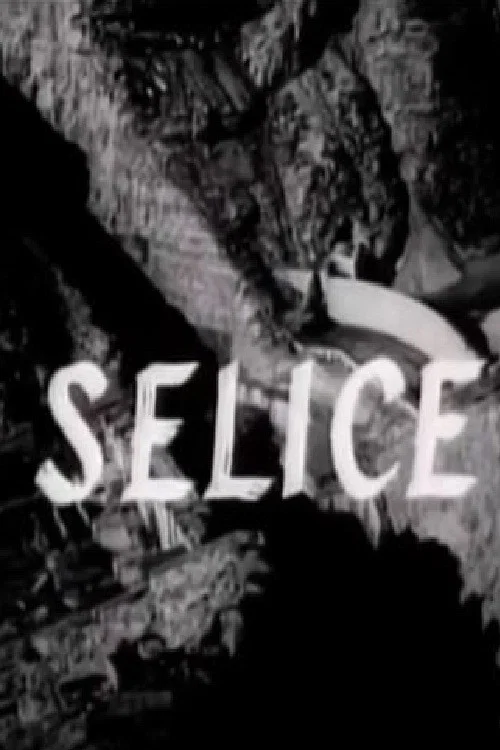 Постер: Selice