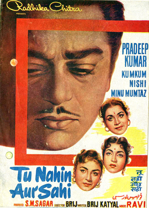 Постер: तू नहीं और सही