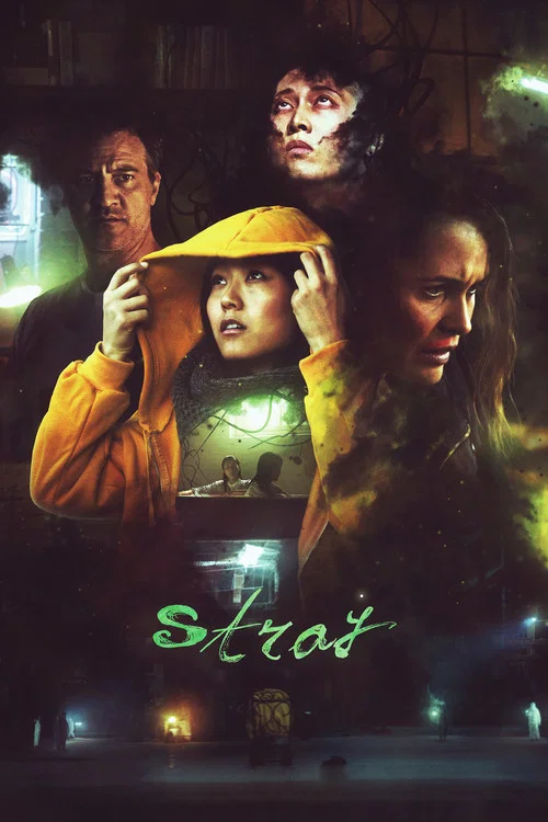 Постер: Stray