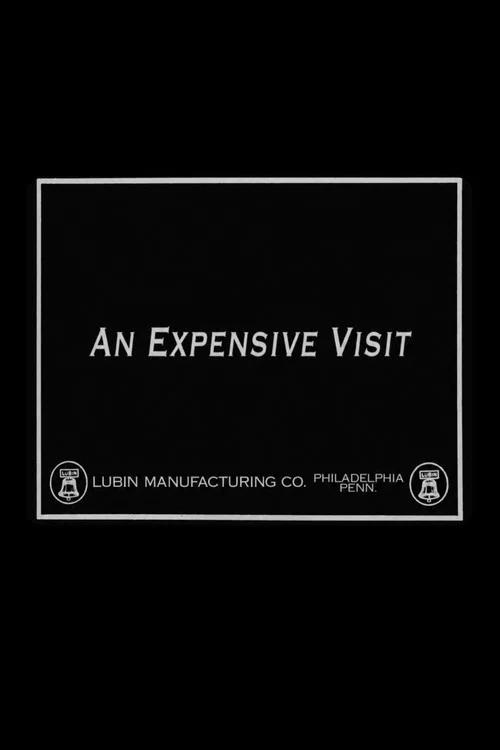 Постер: An Expensive Visit