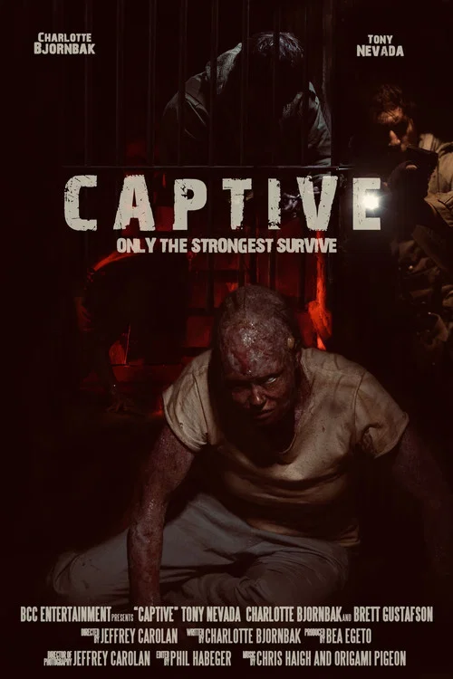 Постер: Captive
