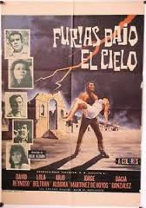 Постер: Furias bajo el cielo
