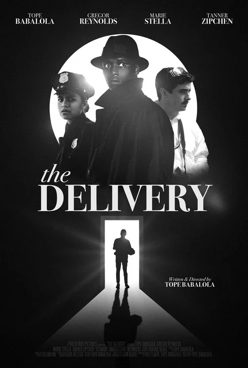 Постер: The Delivery