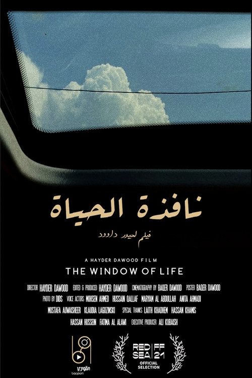 Постер: Window of life