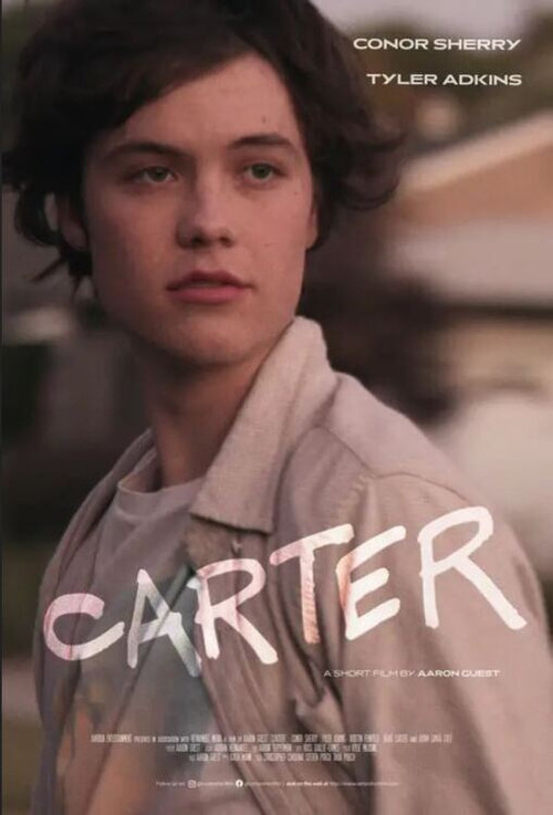 Постер: Carter