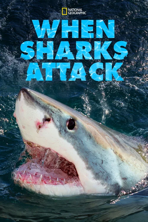 Постер: When Sharks Attack