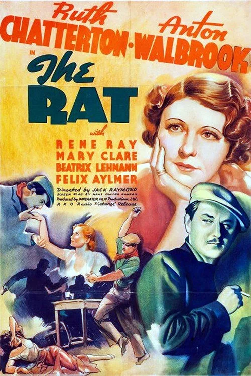 Постер: The Rat