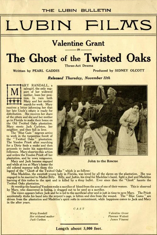 Постер: The Ghost of Twisted Oaks