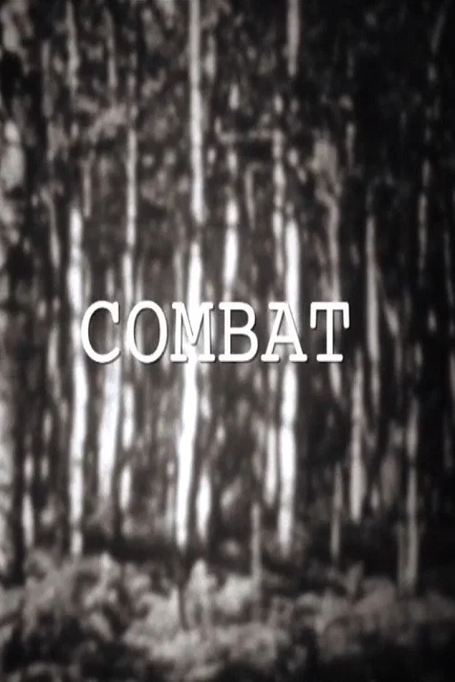 Постер: Combat