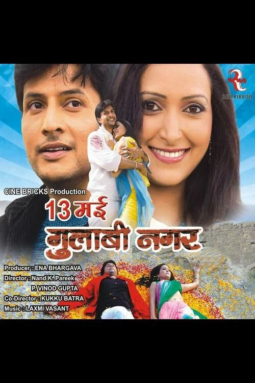 Постер: 13 May Gulaabi Nagar