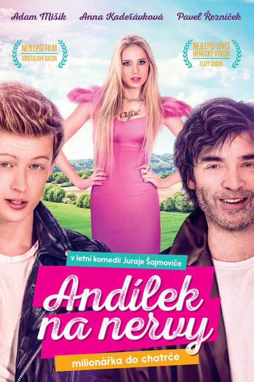 Постер: Andílek na nervy