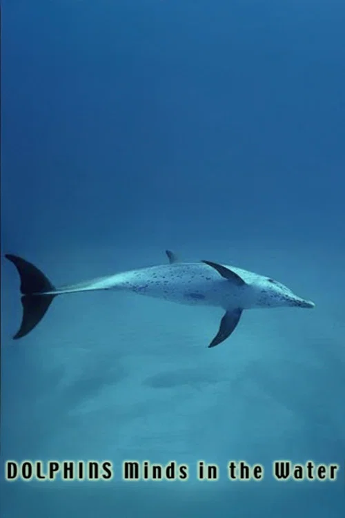 Постер: Dolphins: Minds in the Water