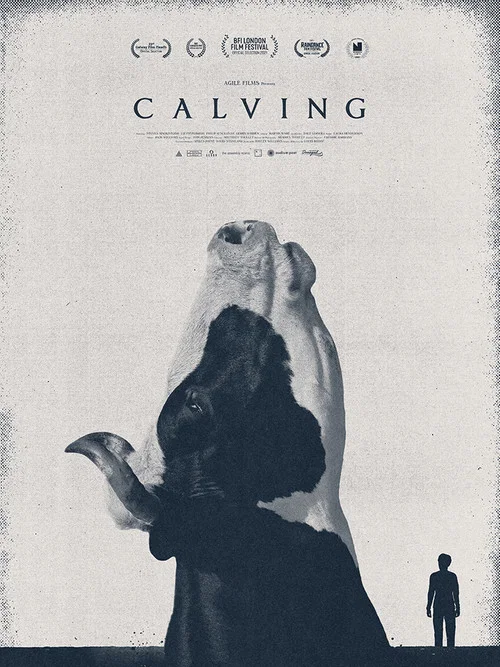 Постер: Calving