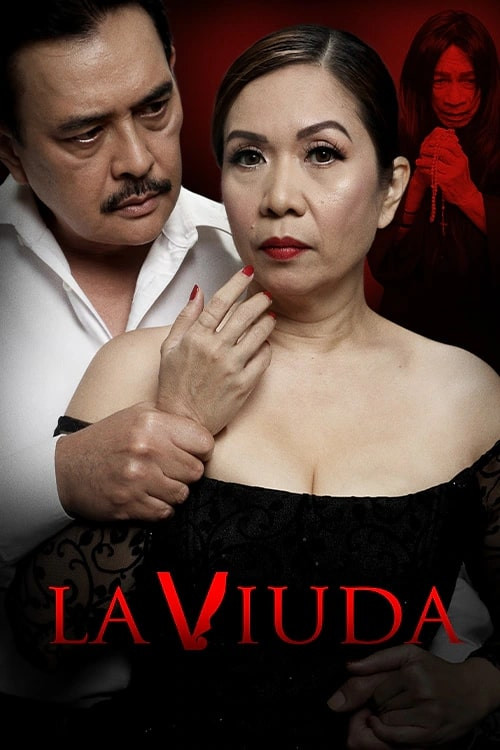 Постер: La Viuda