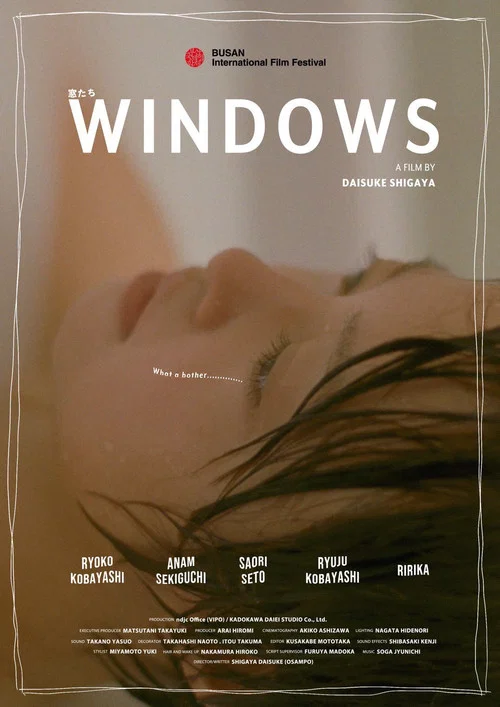 Постер: Windows
