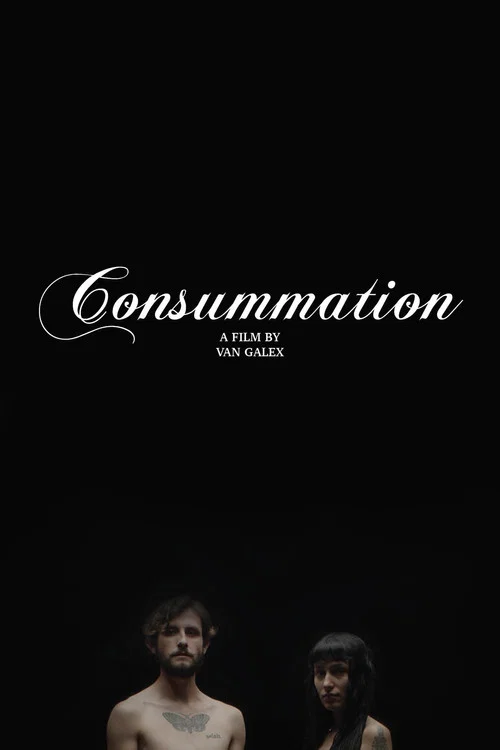 Постер: Consummation