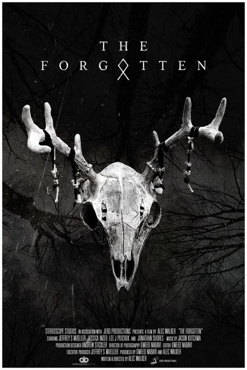 Постер: The Forgotten
