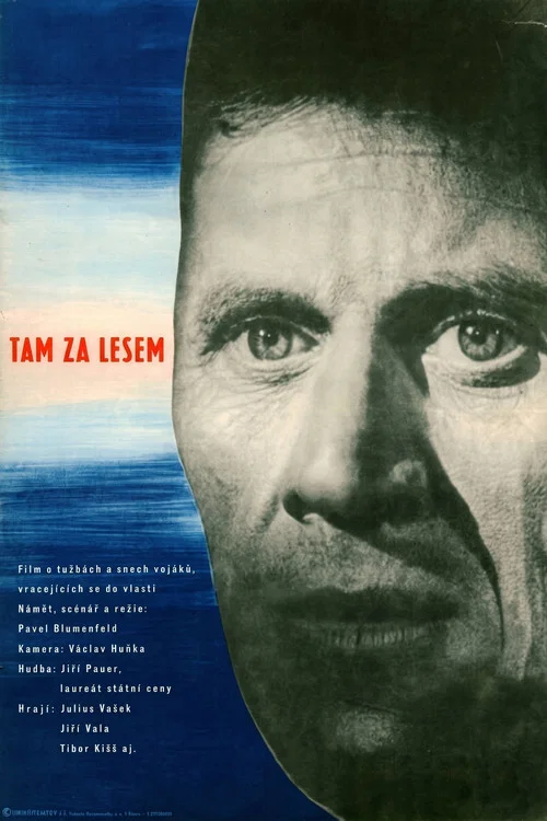 Постер: Tam za lesem