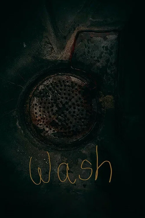 Постер: Wash