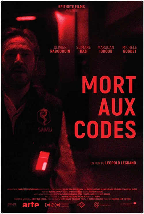 Постер: Mort aux codes
