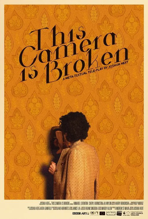 Постер: This Camera is Broken