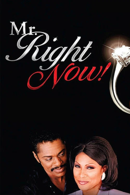 Постер: Mr. Right Now