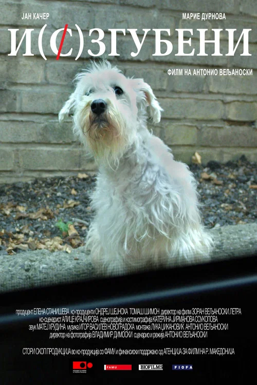 Постер: Mi(s)sing dog
