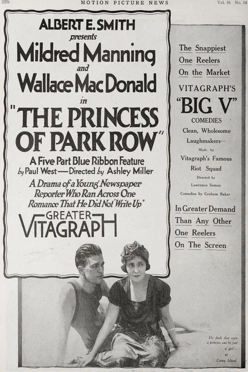 Постер: The Princess of Park Row