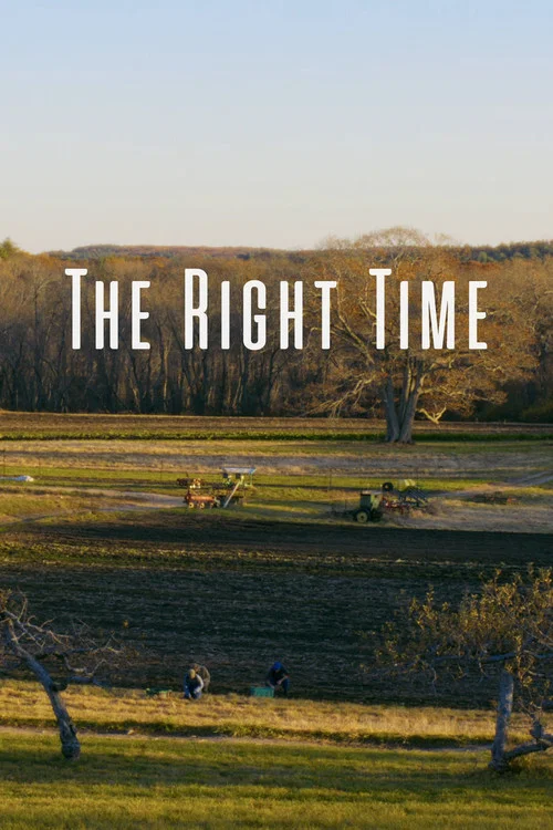 Постер: The Right Time