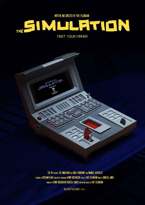 Постер: The Simulation