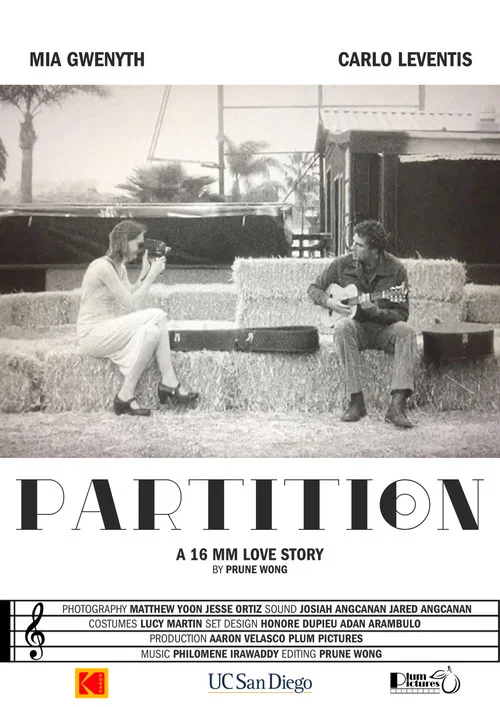 Постер: Partition