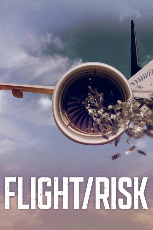 Постер: Flight Risk