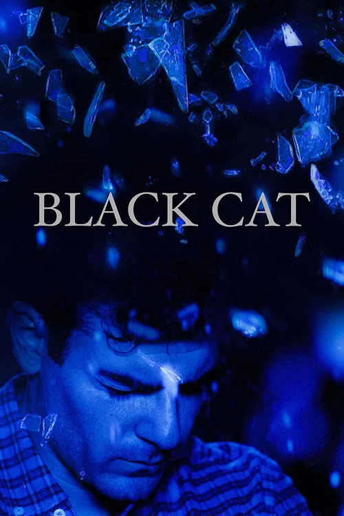 Постер: Black Cat
