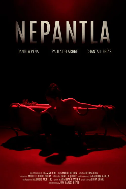 Постер: Nepantla