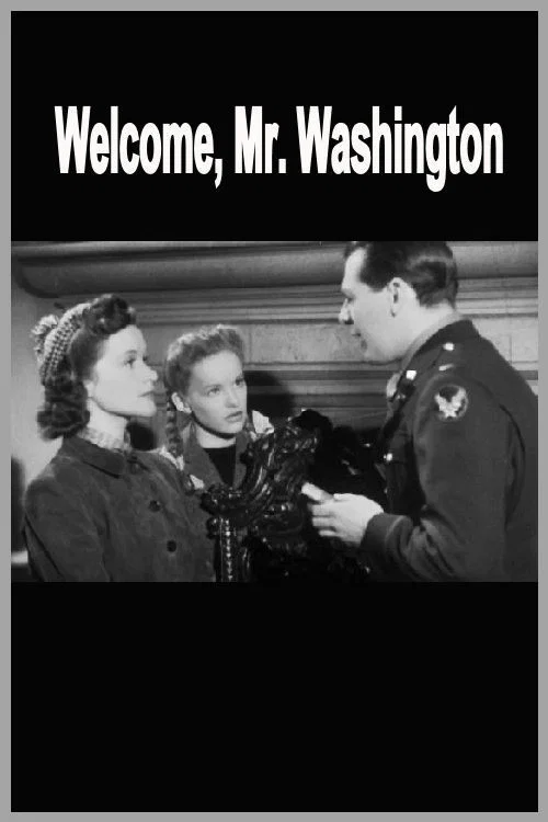 Постер: Welcome Mr Washington