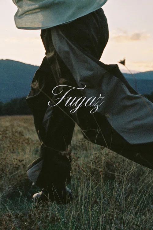 Постер: Fugaz