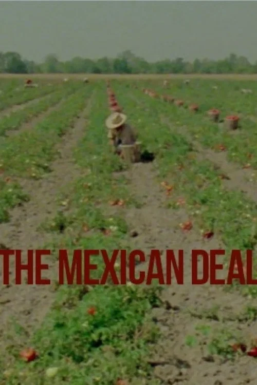Постер: Le Deal mexicain