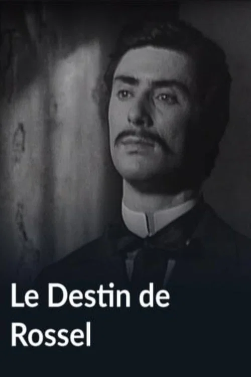 Постер: Le destin de Rossel