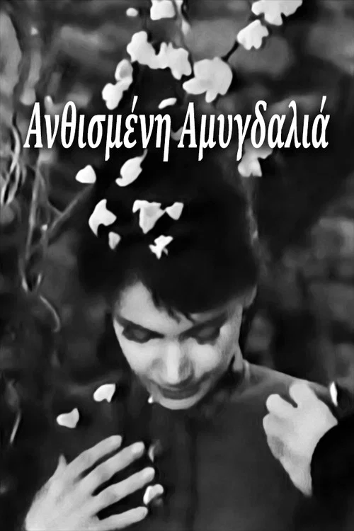 Постер: Anthismeni amygdalia