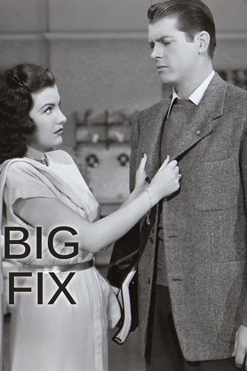Постер: The Big Fix