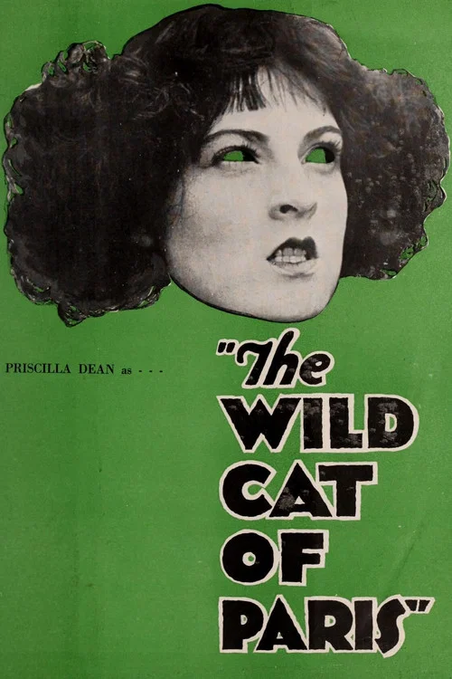 Постер: The Wildcat of Paris