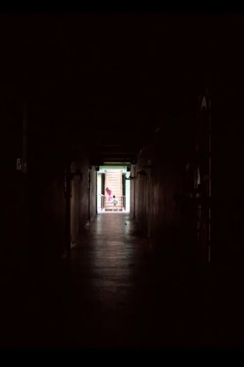 Постер: Boding