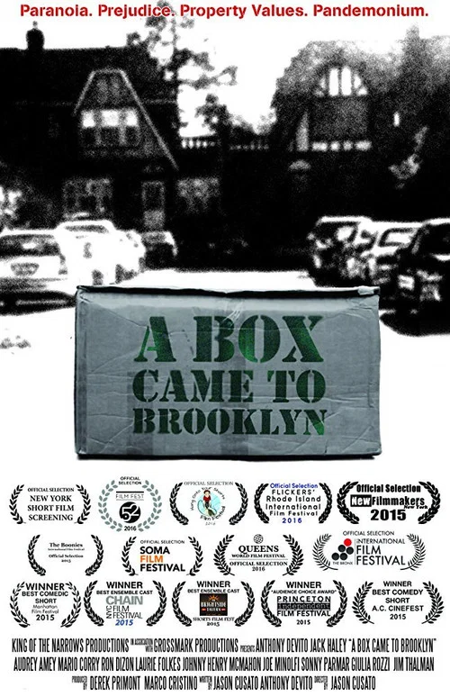 Постер: A Box Came to Brooklyn