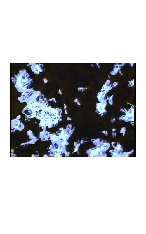 Постер: What the Water Said, Nos. 4-6